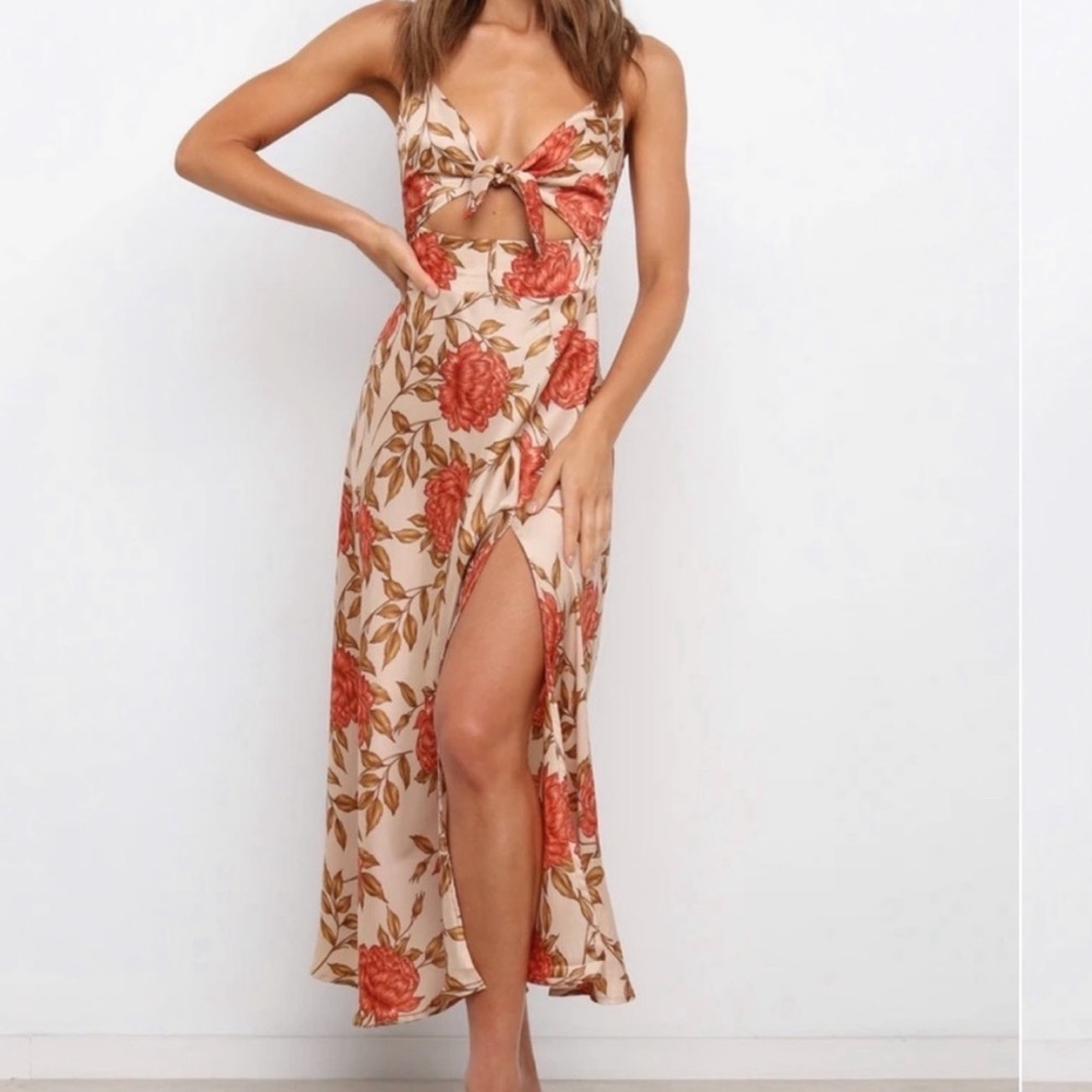 Petal & Pup Kutcher Dress